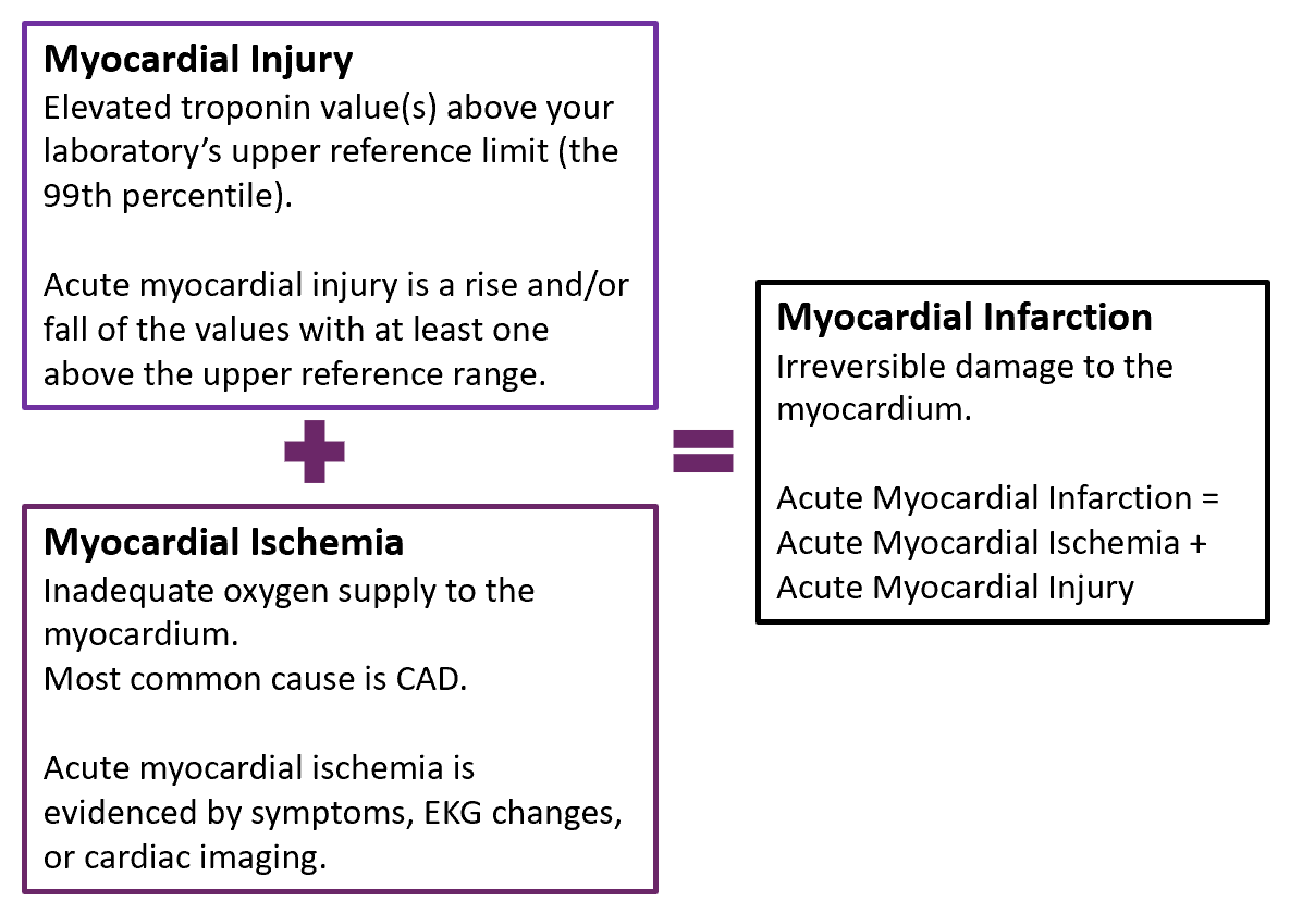 ecg-cardiac-infarction-and-ischemia-video-anatomy-osmosis